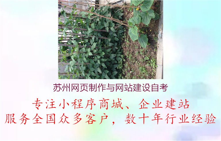 苏州网页制作与网站建设自考，自主学习苏州网页制作与网站建设知识，实现自我提升和发展1.jpg