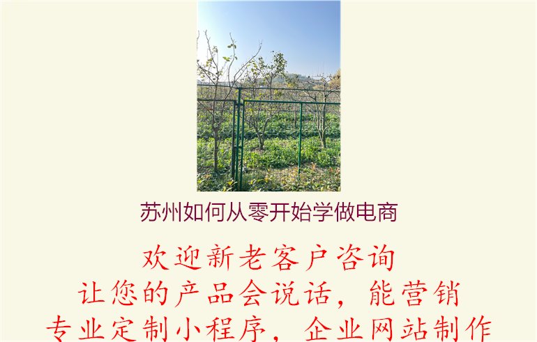 苏州如何从零开始学做电商，学习指南，助力零基础学习电商知识1.jpg