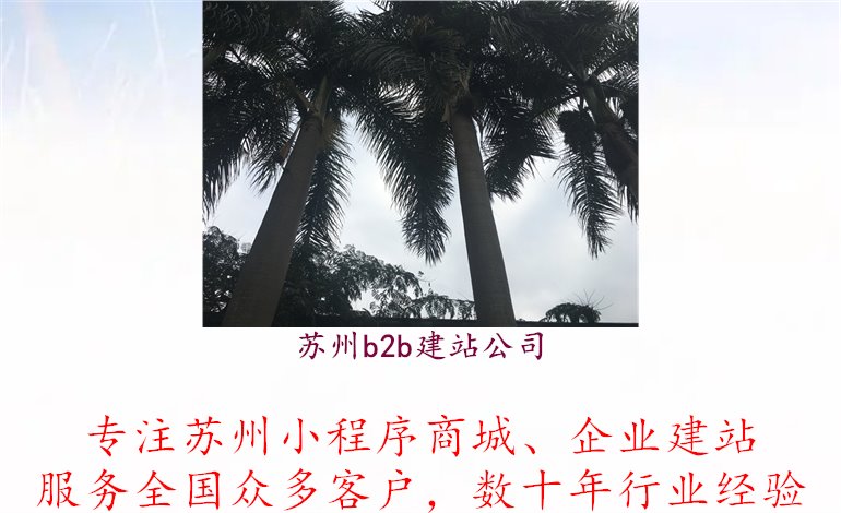 苏州B2B建站公司，专注于为B2B企业提供专业的网站建设和服务，帮助企业实现线上交易和市场拓展1.jpg