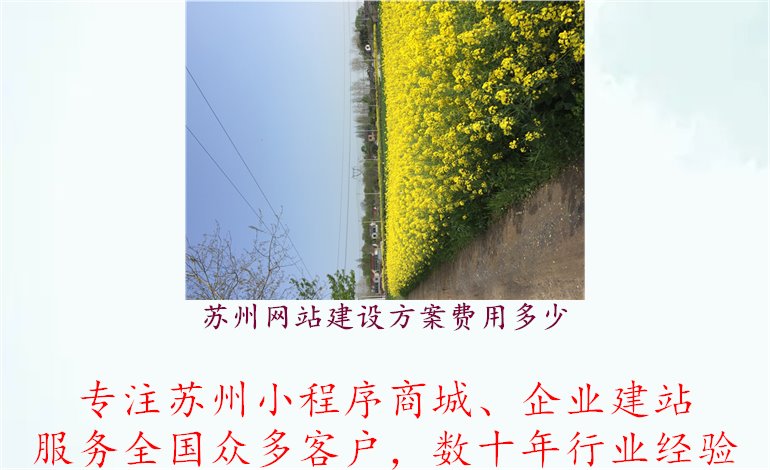 苏州网站建设方案费用多少，合理报价满足您预算1.jpg