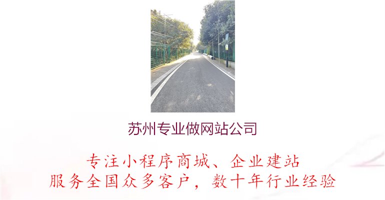 苏州专业做网站公司1.jpg