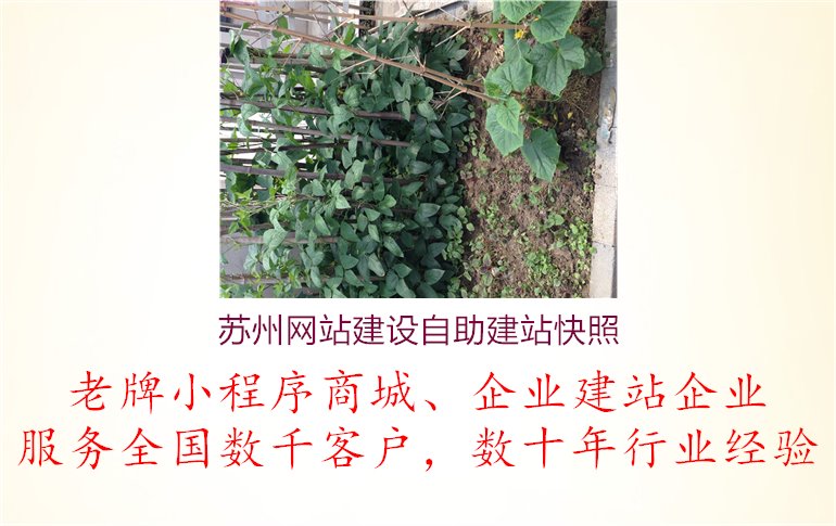 苏州网站建设自助建站快照1.jpg