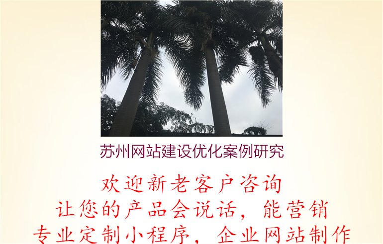 苏州网站建设优化案例研究1.jpg