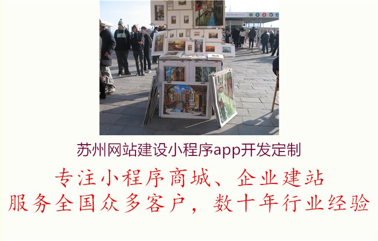 苏州网站建设小程序app开发定制1.jpg