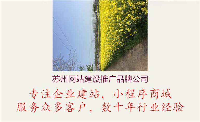 苏州网站建设推广品牌公司1.jpg