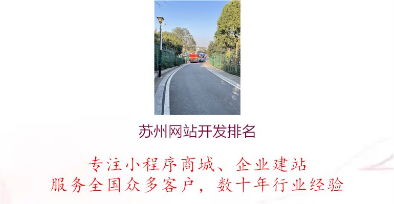 苏州网站开发排名1.jpg