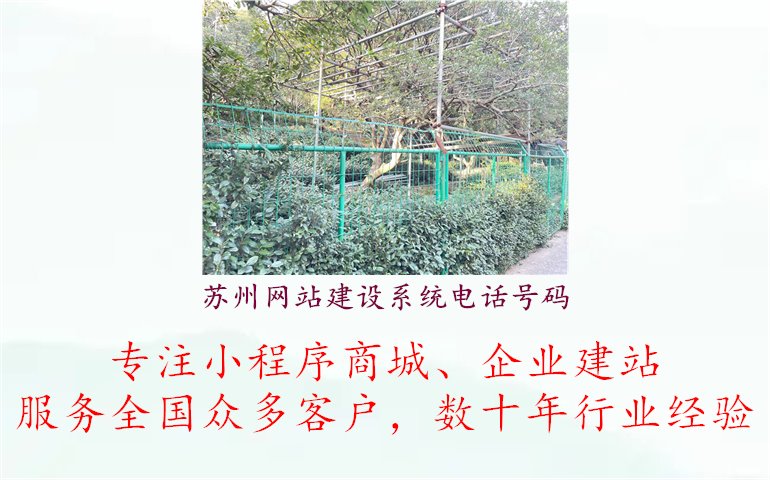 苏州网站建设系统电话号码1.jpg