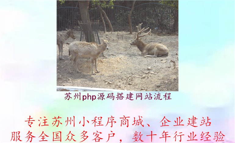 苏州php源码搭建网站流程1.jpg