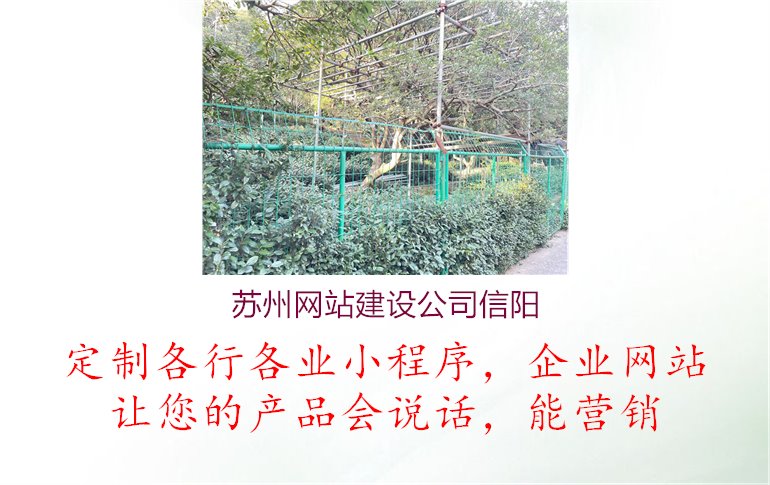 苏州网站建设公司信阳1.jpg