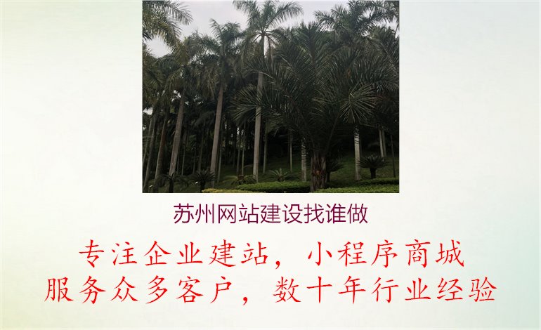 苏州网站建设找谁做1.jpg