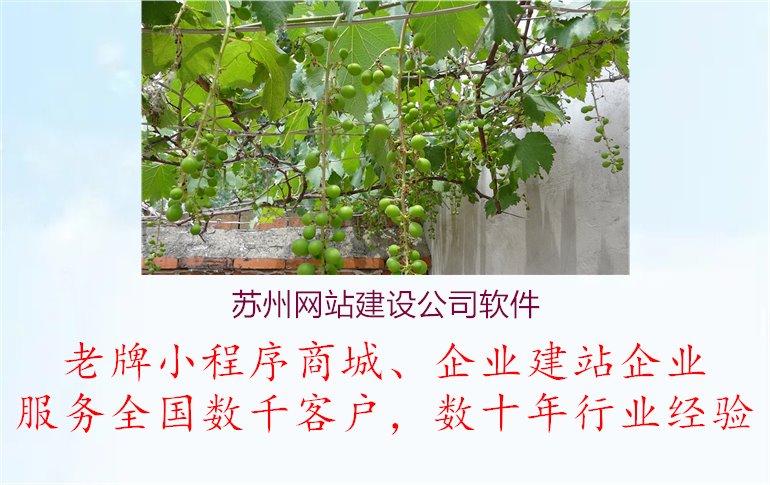 苏州网站建设公司软件1.jpg