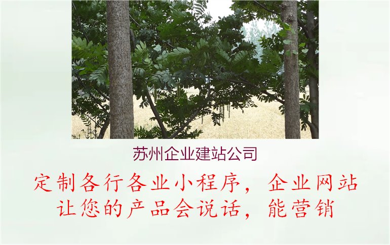 苏州企业建站公司1.jpg