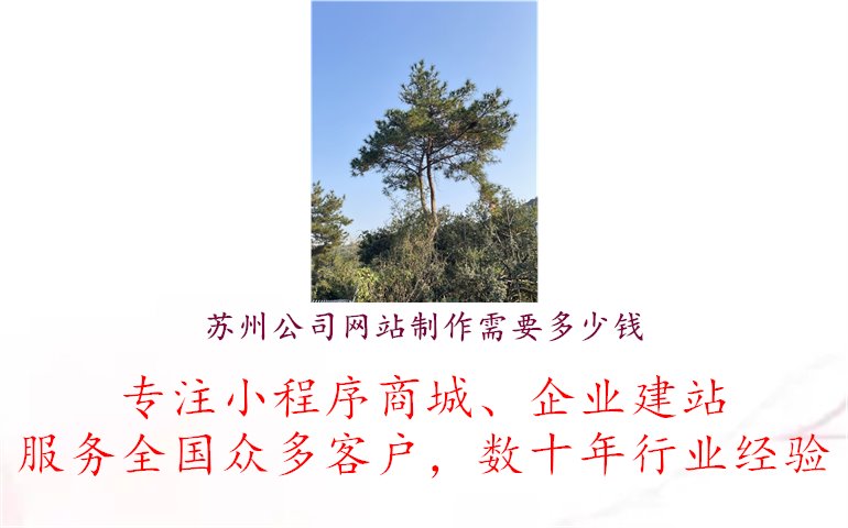 苏州公司网站制作需要多少钱1.jpg