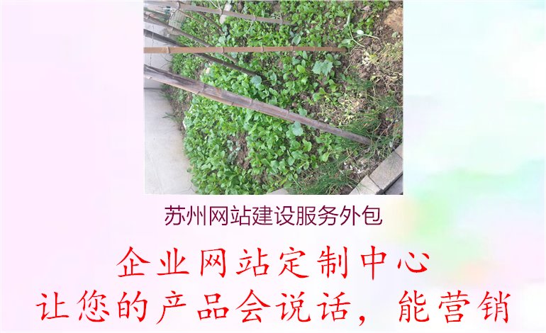 苏州网站建设服务外包1.jpg