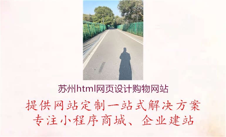 苏州html网页设计购物网站1.jpg