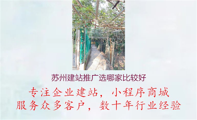 苏州建站推广选哪家比较好1.jpg