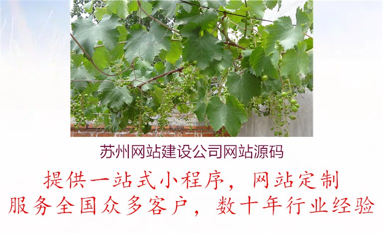 苏州网站建设公司网站源码1.jpg