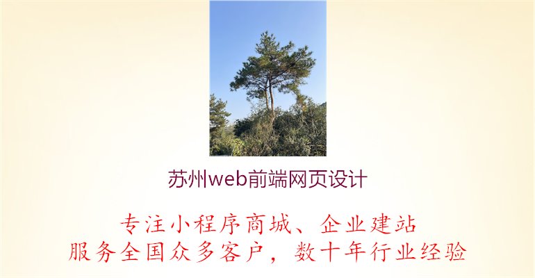 苏州web前端网页设计1.jpg