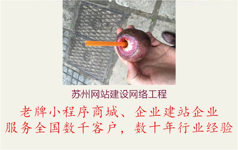 苏州网站建设网络工程1.jpg