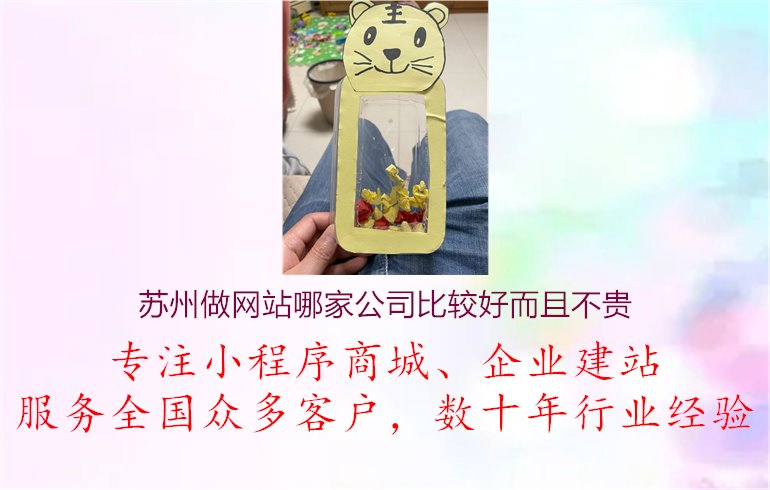 苏州做网站哪家公司比较好而且不贵1.jpg