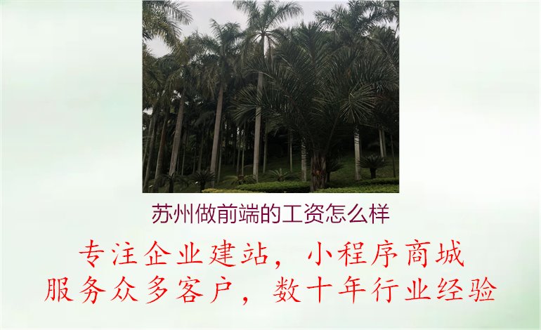 苏州做前端的工资怎么样1.jpg