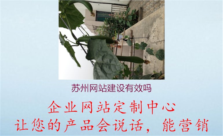 苏州网站建设有效吗1.jpg