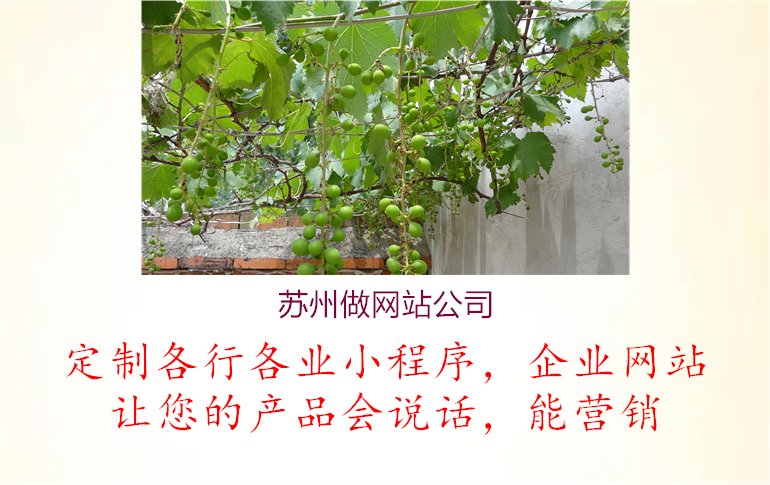 苏州做网站公司1.jpg