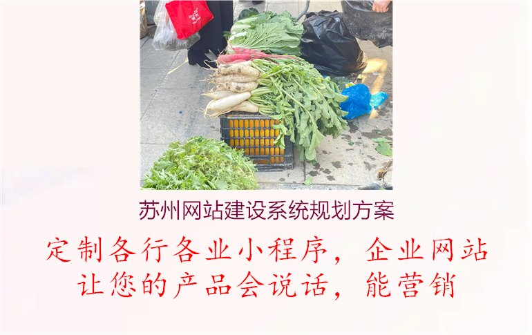 苏州网站建设系统规划方案1.jpg