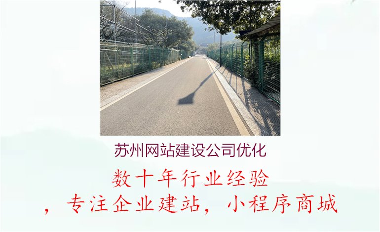 苏州网站建设公司优化1.jpg