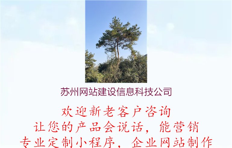 苏州网站建设信息科技公司1.jpg