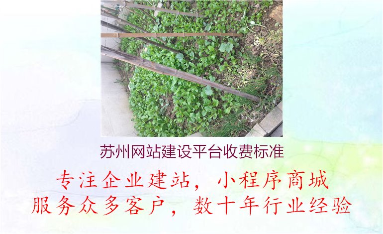 苏州网站建设平台收费标准1.jpg