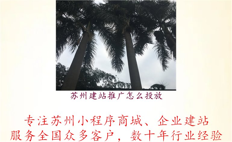 苏州建站推广怎么投放1.jpg