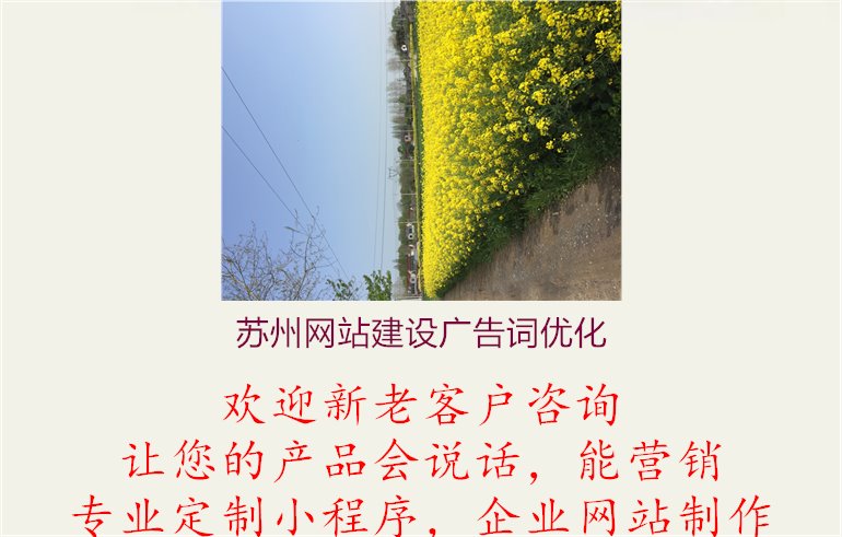 苏州网站建设广告词优化1.jpg