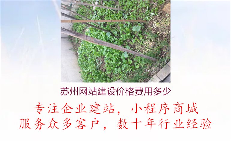 苏州网站建设价格费用多少1.jpg