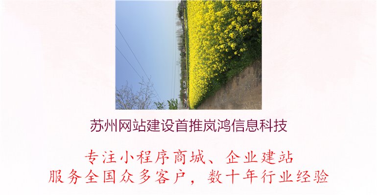 苏州网站建设首推岚鸿信息科技1.jpg