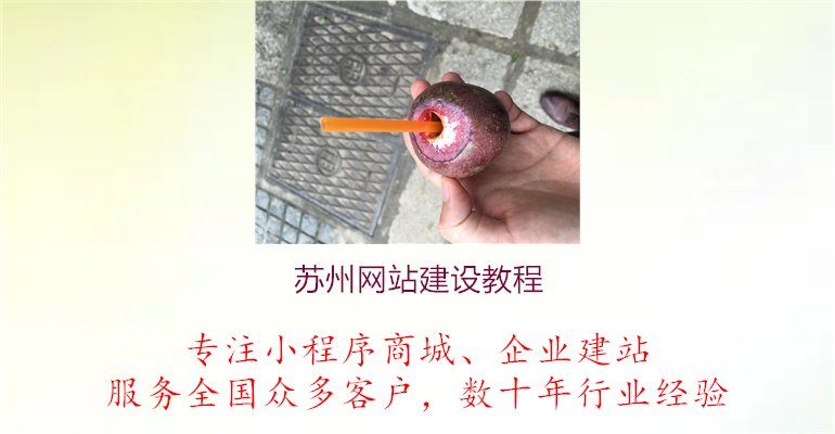 苏州网站建设教程.jpg