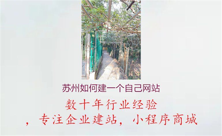 苏州如何建一个自己网站1.jpg