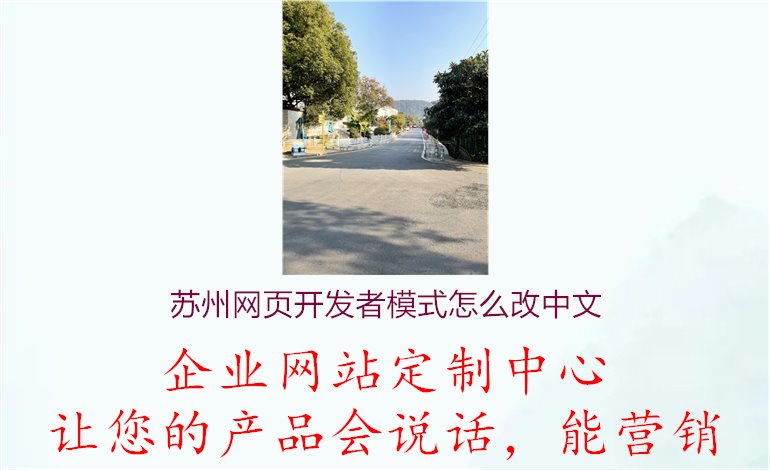 苏州网页开发者模式怎么改中文1.jpg