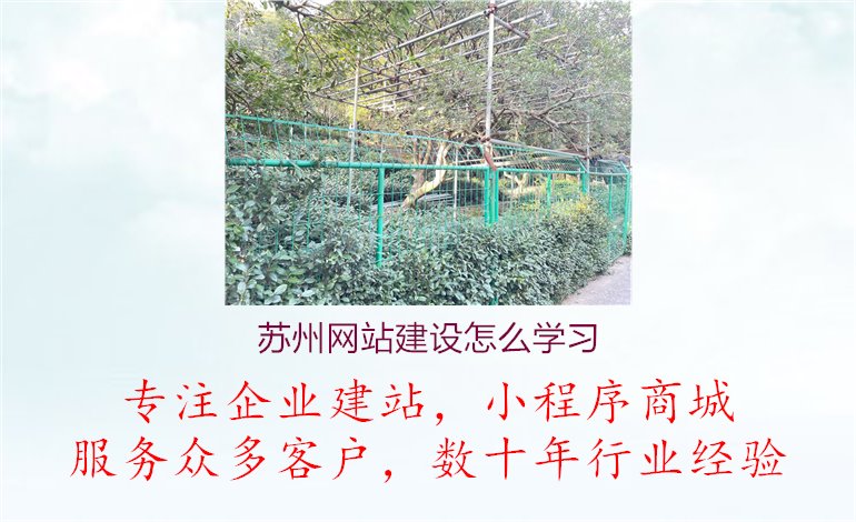 苏州网站建设怎么学习1.jpg