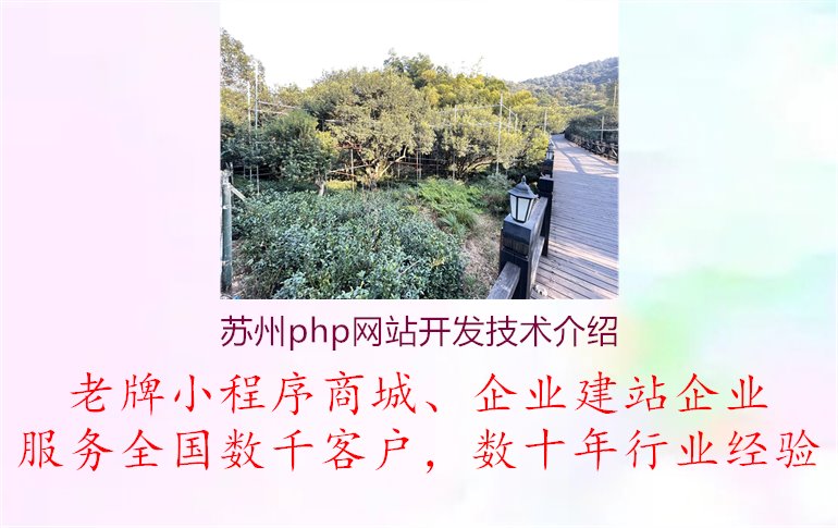 苏州php网站开发技术介绍.jpg