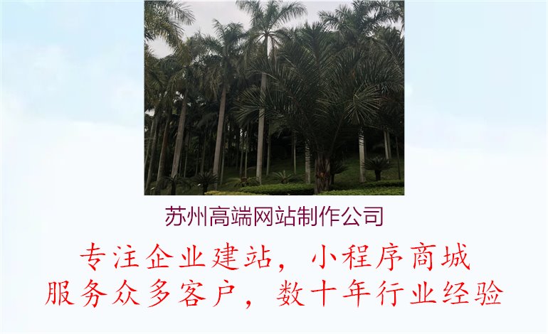 苏州高端网站制作公司.jpg