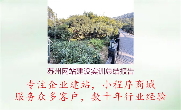 苏州网站建设实训总结报告.jpg