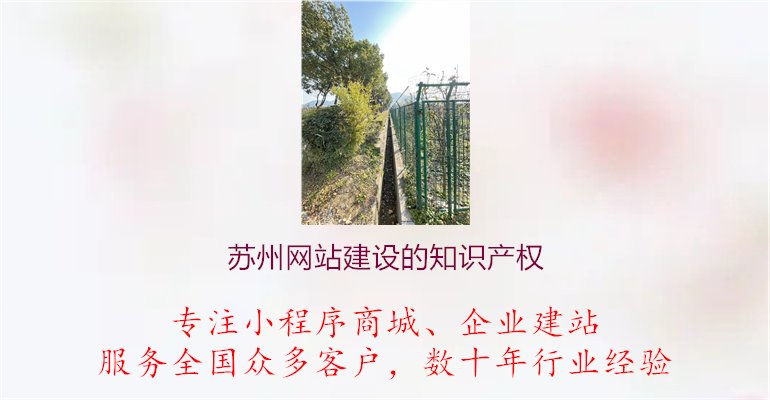 苏州网站建设的知识产权.jpg