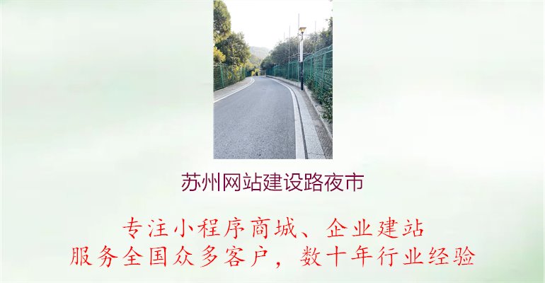 苏州网站建设路夜市.jpg