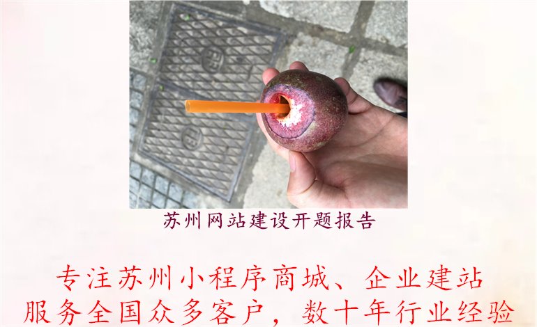 苏州网站建设开题报告.jpg