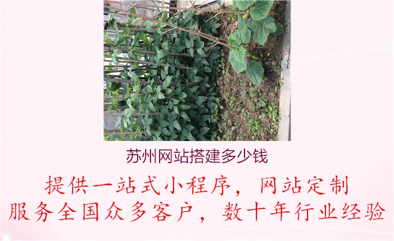 苏州网站搭建多少钱.jpg