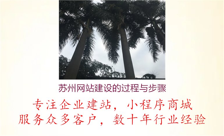 苏州网站建设的过程与步骤.jpg