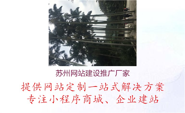 苏州网站建设推广厂家.jpg