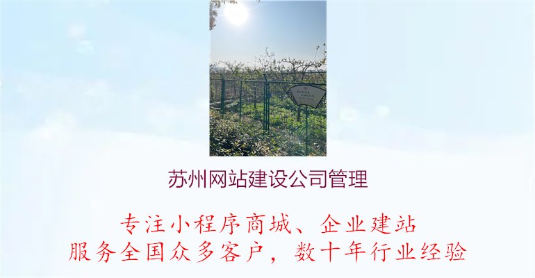 苏州网站建设公司管理.jpg