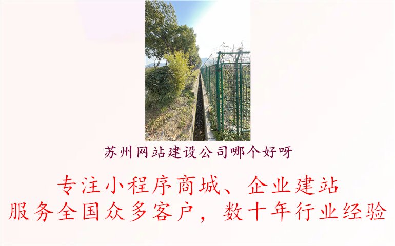 苏州网站建设公司哪个好呀.jpg